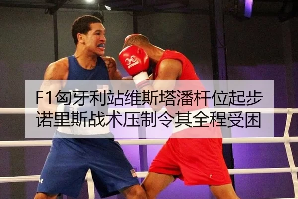 F1匈牙利站维斯塔潘杆位起步 诺里斯战术压制令其全程受困